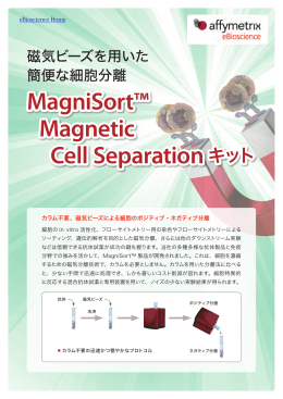 MagniSort&trade; Magnetic Cell Separationキット