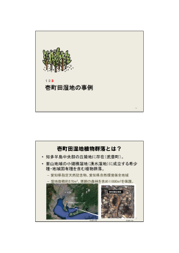壱町田湿地の事例