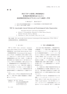 異常 TDP-43蓄積と神経細胞死： 筋萎縮性側索硬化症