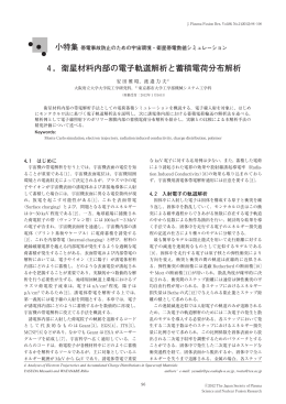 4．衛星材料内部の電子軌道解析と蓄積電荷分布解析