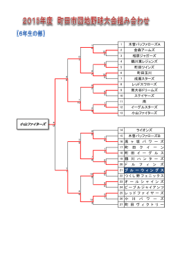 木曽バッファローズA 金森アームズ 相原ジャガーズ 鶴川東レジェンズ