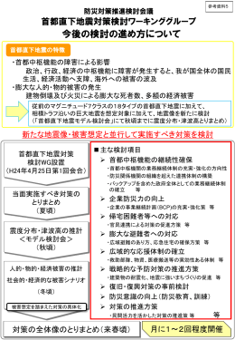 首都直下地震対策検討ワーキンググループ