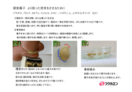 硬実種子 より揃った発芽をさせるために