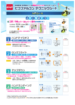 ピコファルコン テクニックシート ピコファルコン テクニックシート