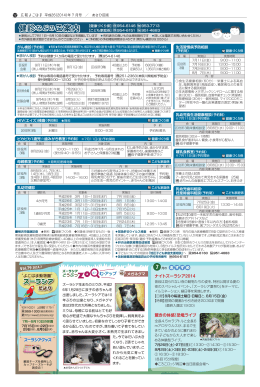 Vol.79 2014.7 ナイトズーラシア2014 驚きの体感！恐竜ライブ