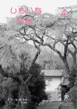 貝原に咲く枝垂桜