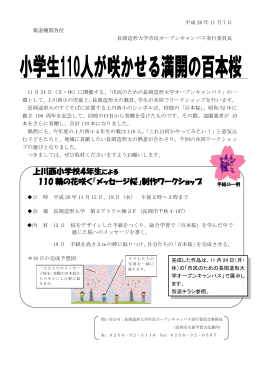 上川西小学校4年生による 110 輪の花咲く「メッセージ桜」制作
