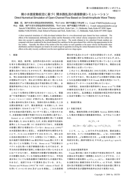 微小水面変動仮定に基づく開水路乱流の直接数値シミュレーション ( )