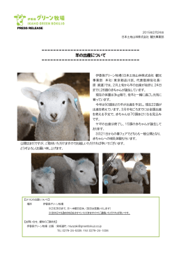羊の出産について