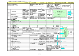 付属資料5 相互運用性実証事業の普及に向けたロードマップ