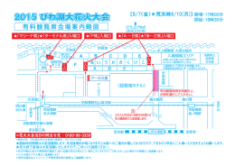2015 びわ湖大花火大会