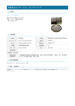 有限会社エイチ・エス・エレクトリック