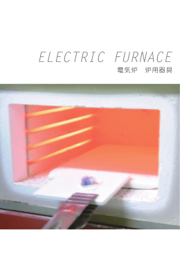 ELECTRIC FURNACE