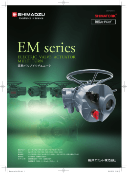 ELECTRIC VALVE ACTUATOR MULTI TURN