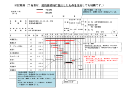 ※記載例（工程表は，契約締結時に提出したものを活用しても結構です。）