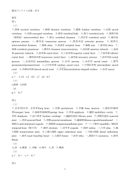 解剖プレテスト対策：骨学 1 解答 問1 （1） ア,頸椎 cervical vertebrae イ