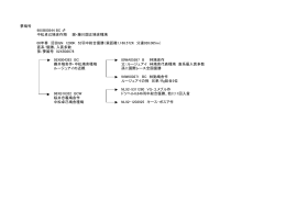 夢鳩号 98XB00544 BC 中松卓己鳩舎作翔 現・藤川国正鳩舎種鳩 00