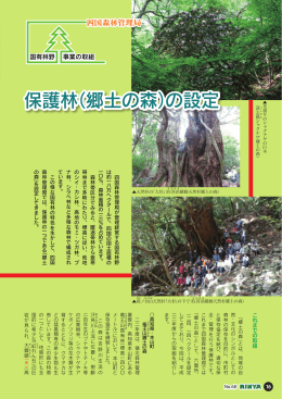 保護林（郷土の森）の設定（PDF：1013KB）