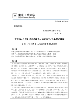 アフリカ・シクリッドの多様性は過去のゲノム多型が基盤