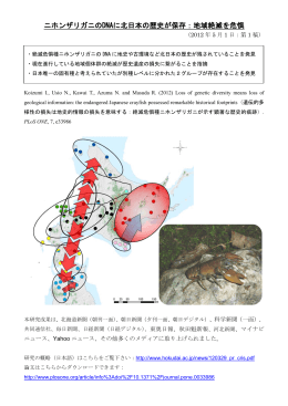 絶滅危惧種ニホンザリガニのDNAに北日本の歴史が残され