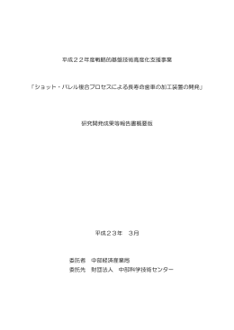 平成22年度戦略的基盤技術高度化支援事業 「ショット