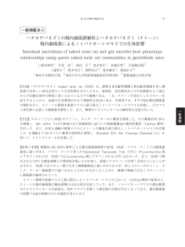 ハダカデバネズミの腸内細菌叢解析とハダカデバネズミ（クイーン） 腸内