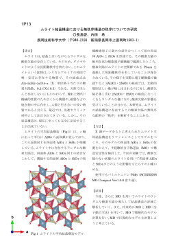 ムライト結晶構造における無秩序構造の秩序についての研究 長島啓