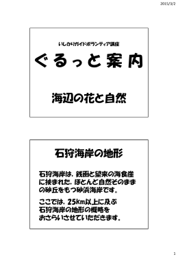 石狩海岸の地形