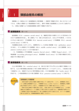 頸部血管系の解剖 1，2）