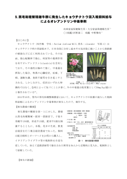 [PDFファイル／820KB]