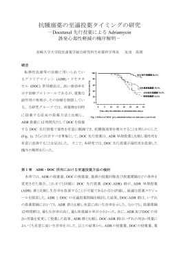 抗腫瘍薬の至適投薬タイミングの研究