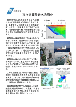 東京湾貧酸素水塊調査