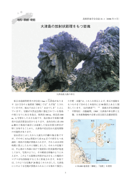 大津島の放射状節理をもつ岩塊