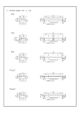特殊鉄筋L型側 （特殊、B -1型）