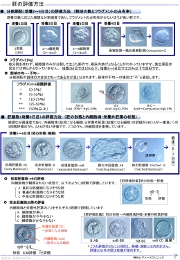 胚の評価方法（390KB PDFファイル）