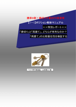 勝率9割！損切り不要のFX投資術 【1－1】ポジション
