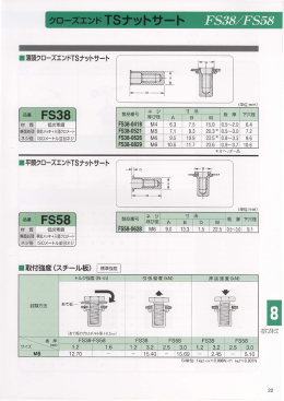 クローズエンドTSNナットサート