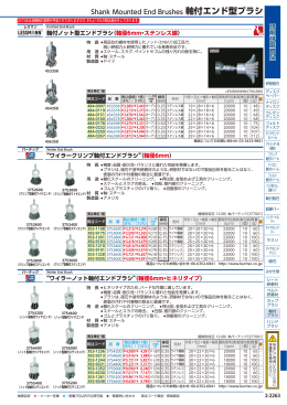 Shank Mounted End Brushes 軸付エンド型ブラシ