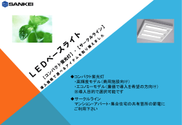 コンパクト蛍光灯 ・高輝度モデル（商用施設向け） ・エコノミーモデル（廉価