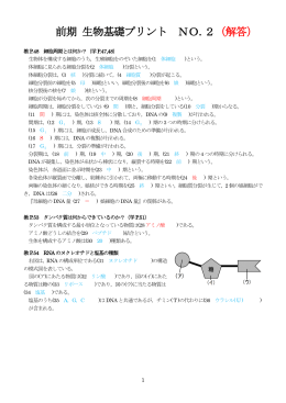 平成27年度 前期 生物基礎プリント NO．2(解答)