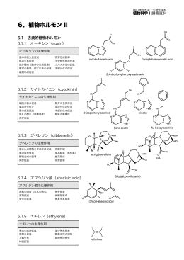 6．植物ホルモン II - 生物化学科