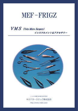 ごあいさつ - MEFサージテック株式会社