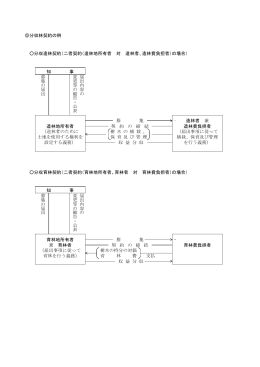 分収林契約の例 分収造林契約（二者契約（造林地所有者 対 造林者