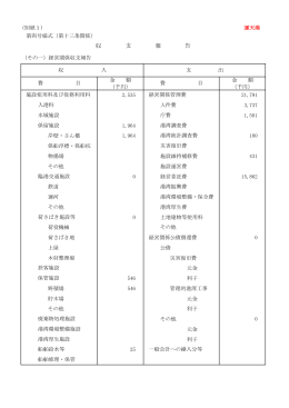 収 支 報 告