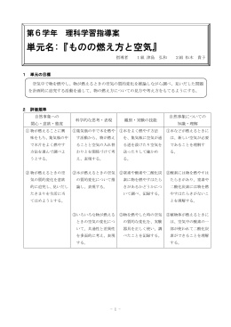 単元名:『ものの燃え方と空気』