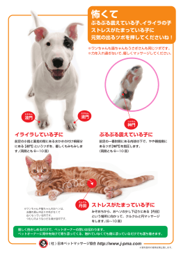 怖くて - 日本ペットマッサージ協会