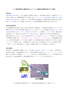 ナノ固体窒素粒子噴霧を用いたヒト iPS 細胞の超高熱流束ガラス凍結
