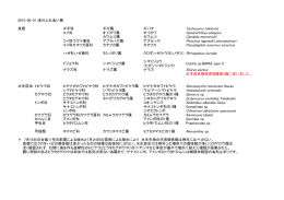 8月1日に採れた水生生物pdf