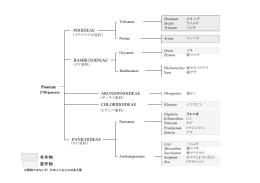 佐藤氏スピーチの資料ダウンロード（PDF：4.96 MB