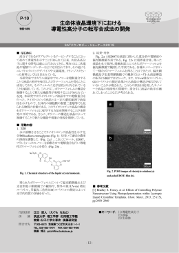 生命体液晶環境下における 導電性高分子の転写合成法の開発